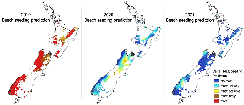 A series of maps showing the mast predictions for 2019, 2020 and 2021. A key is included that show blue areas mean either no mast or a mast is unlikely, yellow or orange areas mean a mast is possible or likely, while red areas indicate a mast. 