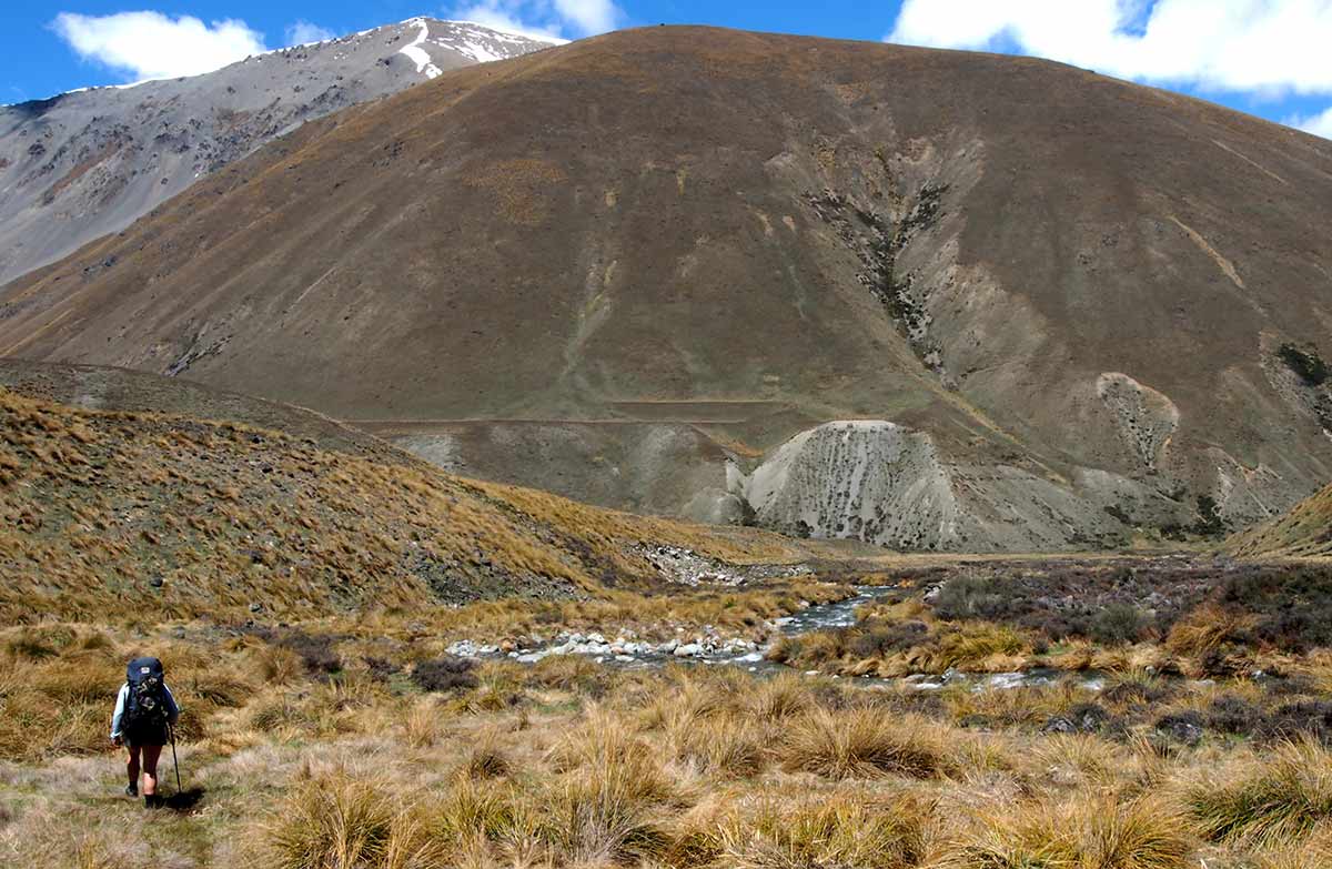 Camp Stream Hut Track Walking and tramping in Lake Te Kahui Kaupeka