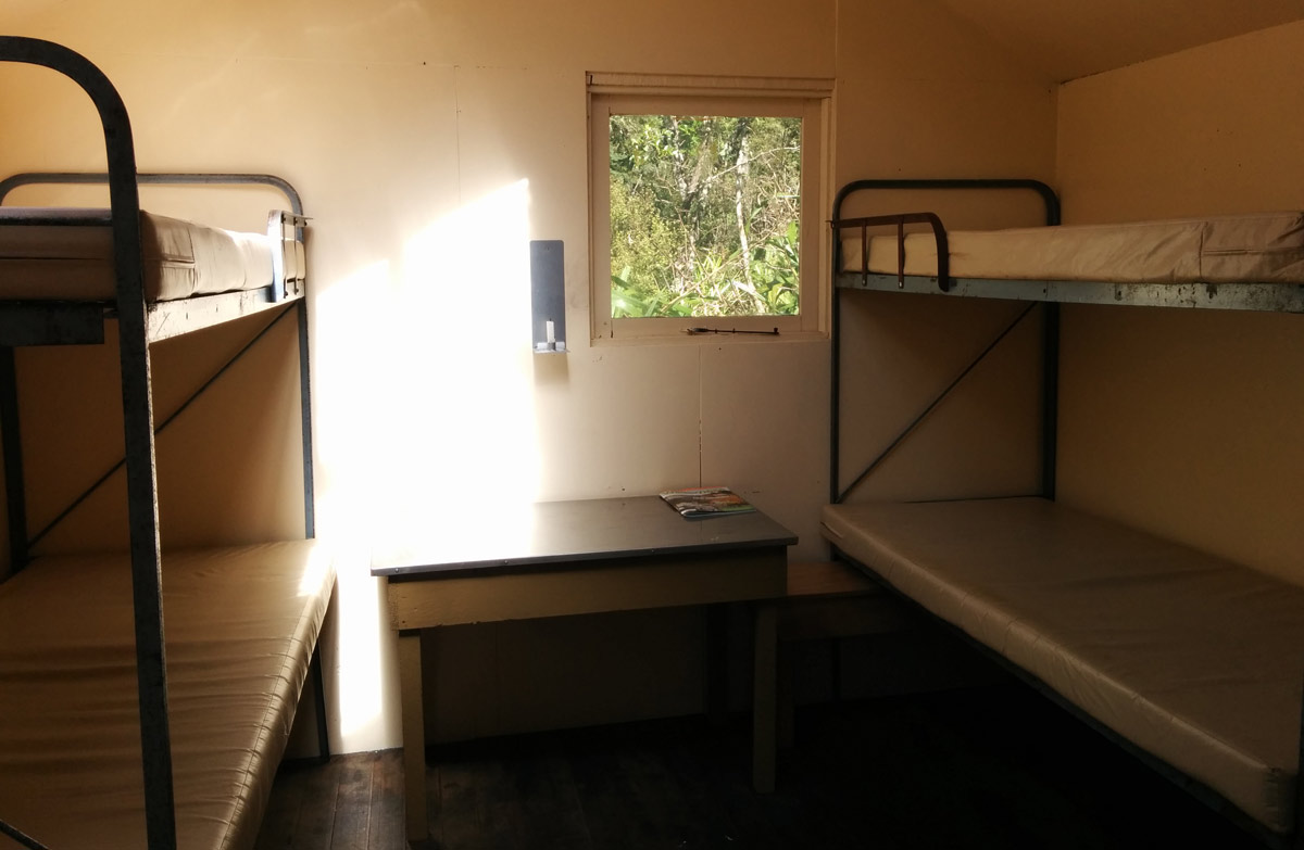 Gold Creek Hut: Ruahine Forest Park, Hawke's Bay region