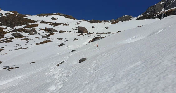 Poles sticking out from snow. 