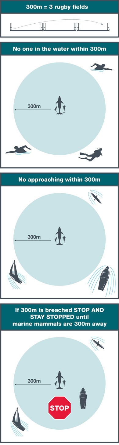 Infographcs depicting the restrictions