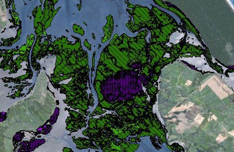 Seagrass And Mangrove Extent: Our Estuaries