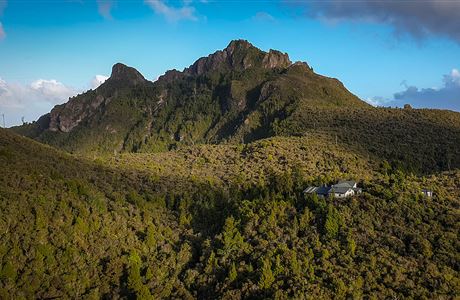 Kauaeranga Kauri Trail (Pinnacles Walk)