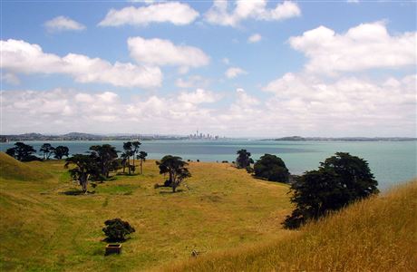 Visitor satisfaction survey