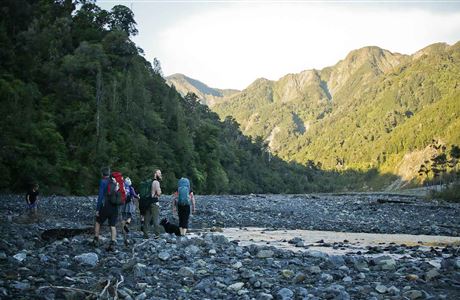 Report an accident or safety issue