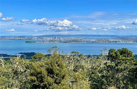 Rangitoto Summit Track
