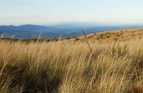 Rangiwahia Hut Track