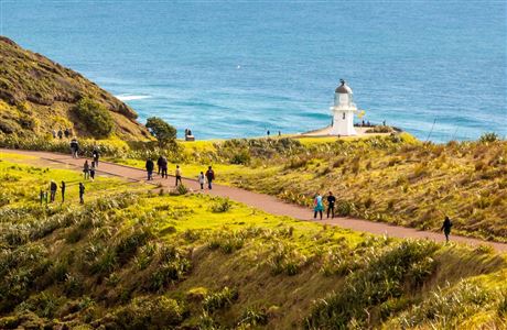 Cape Reinga/Te Rerenga Wairua Lighthouse Walk