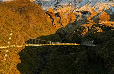 Manganui Gorge Track