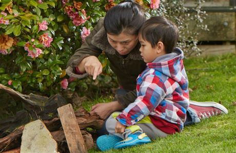 Attract lizards to your garden