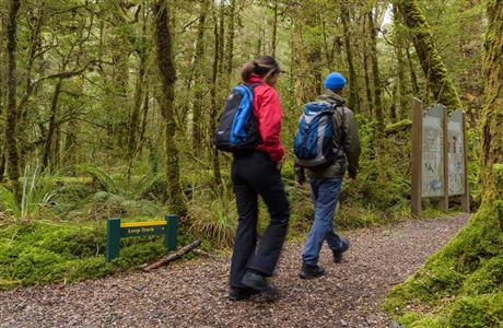 Projects of the Land Safety Forum