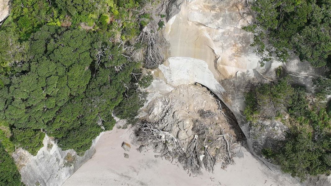 It's a sunny day and you can see a large slip from the cliffs onto the sand at Cathedral Cove.