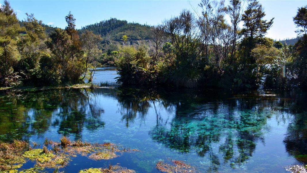 Te Waikoropupū Springs. 