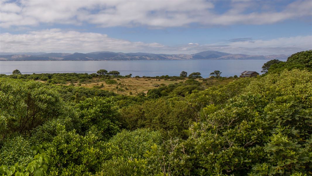 Kapiti Island. 