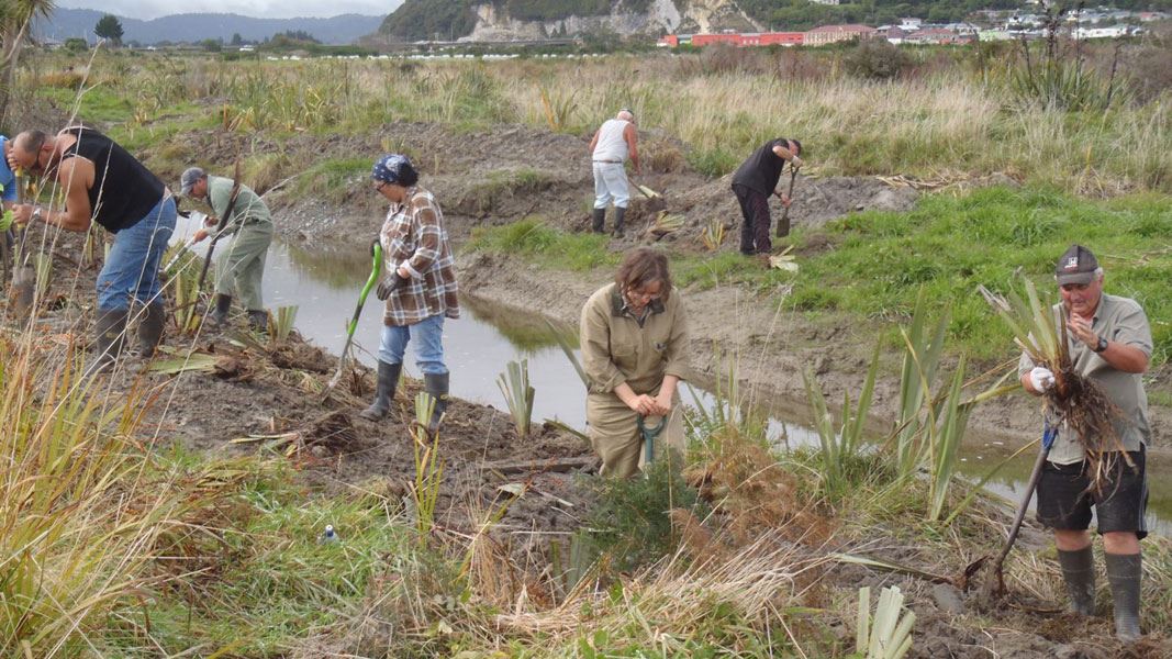 Community whitebait habitat restoration, Cobden Aromahana Sanctuary. 