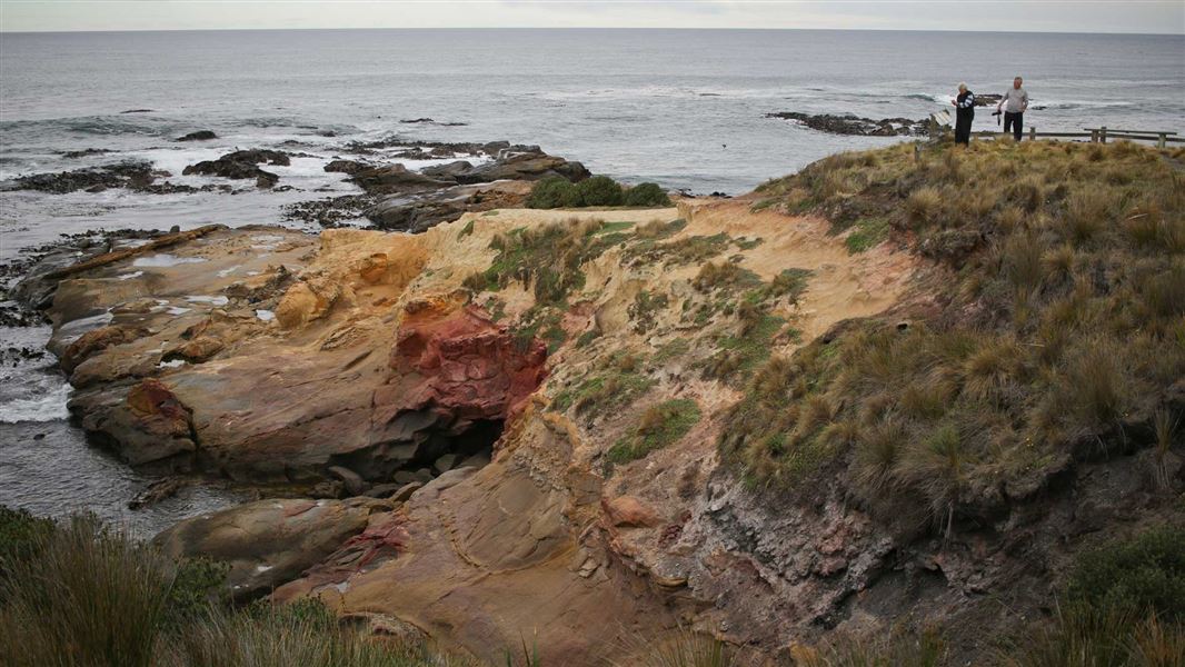 Shoreline at Shag Point/Matakaea. 