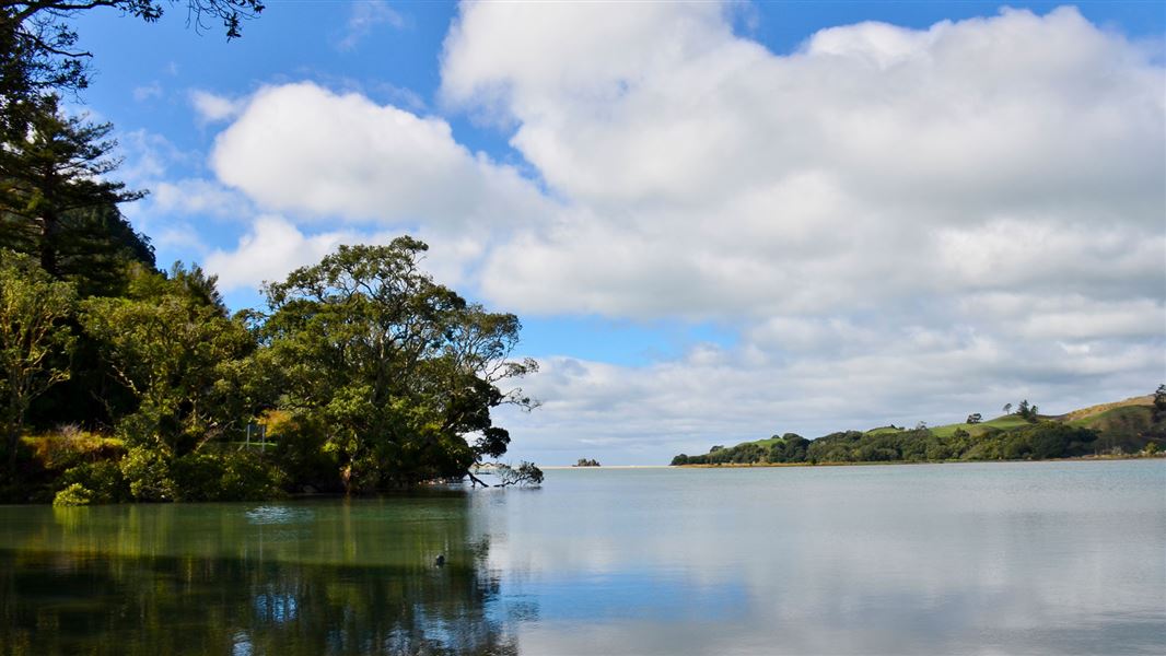 View of estuary.