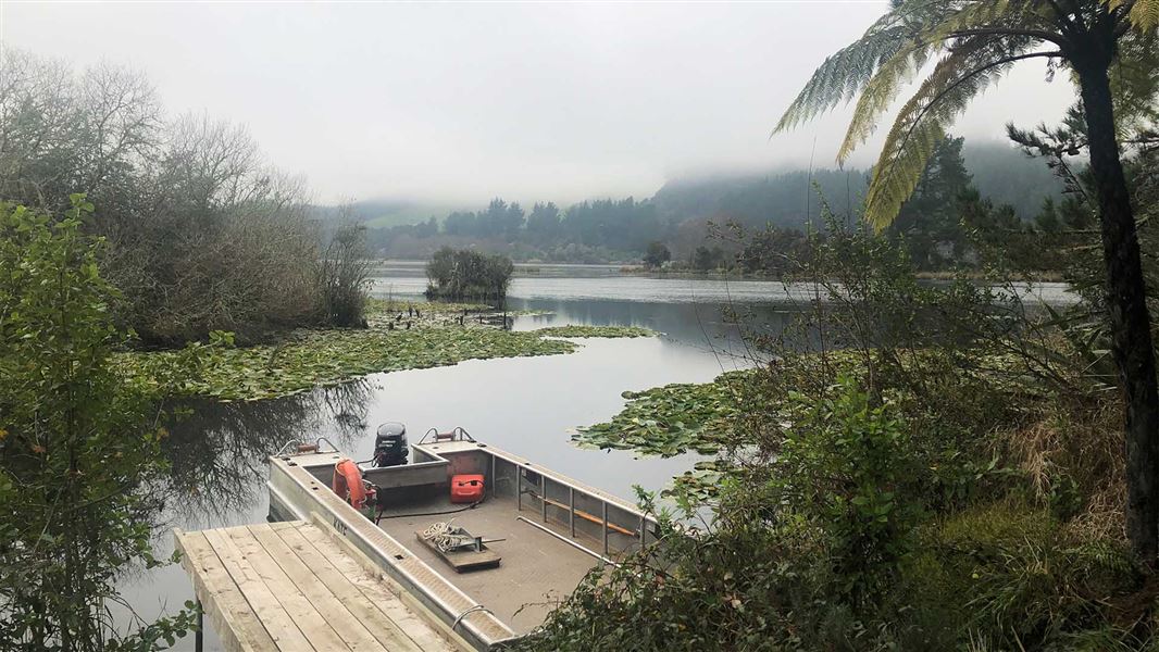 A small boat is parked against the bank of a large and foggy lake. There is a lot of surface dwelling plants on the lake.