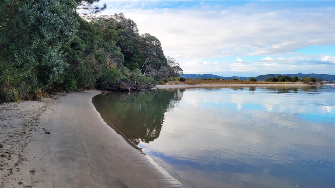 Sandy beach.