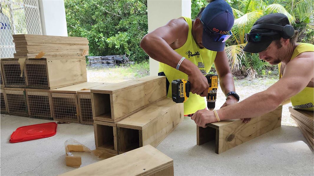 Mia Samuela (Te Ipukarea Society) and James Ware (DOC) constructing biosecurity monitoring tunnels.