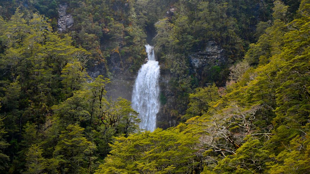 Bridal Veil Falls