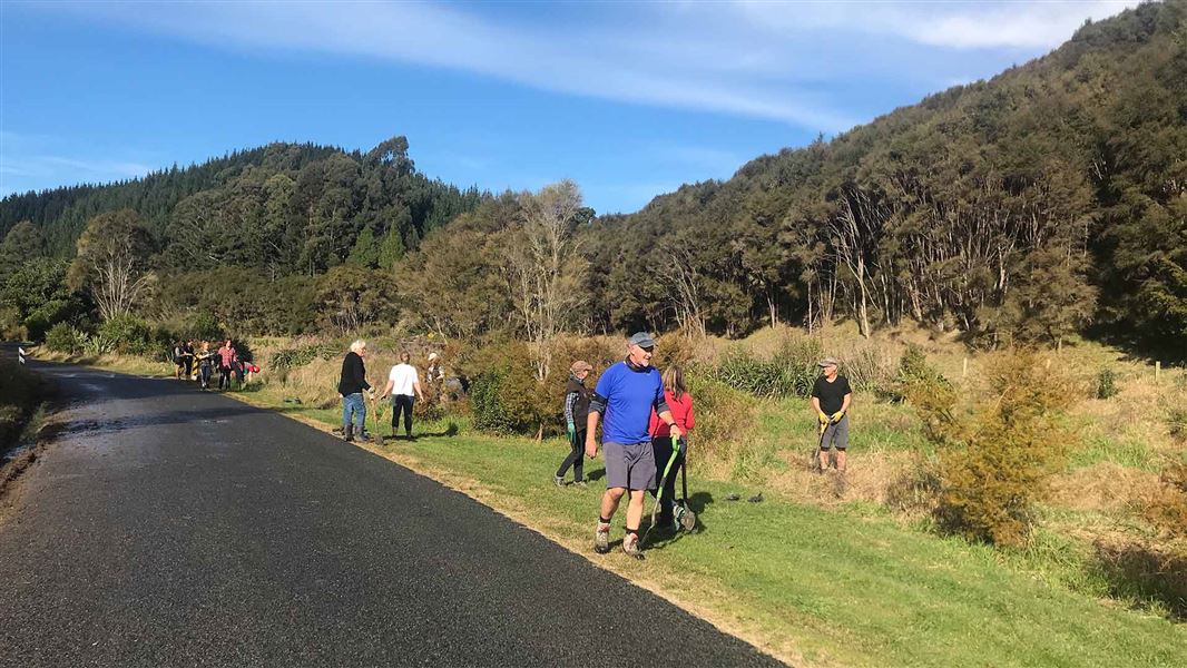 A group of people planting trees besides a road.