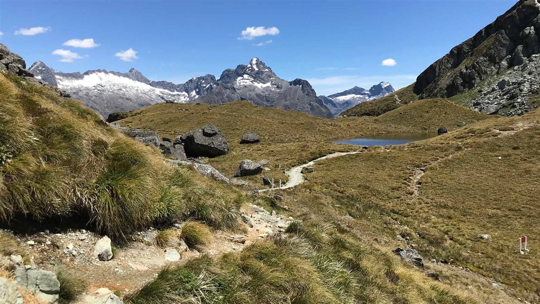 Routeburn Track.