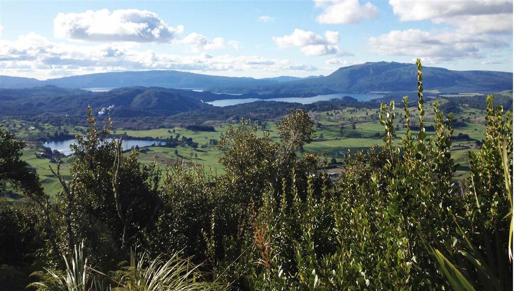 View from Maunga Kākaramea summit. 