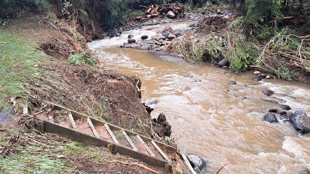 Temporary closure of Pirongia tracks following severe weather: Media ...