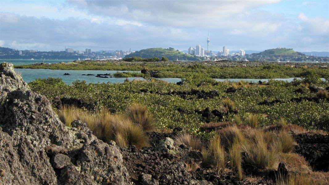 Auckland city from Rangitoto Island.