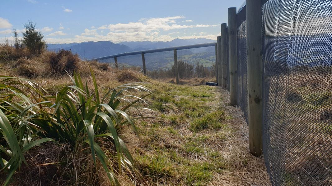 Predator fence, Boundary Stream. 