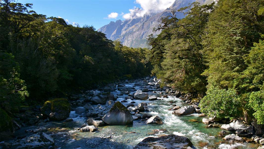 Tūtoko Valley Route: Fiordland National Park, Fiordland region