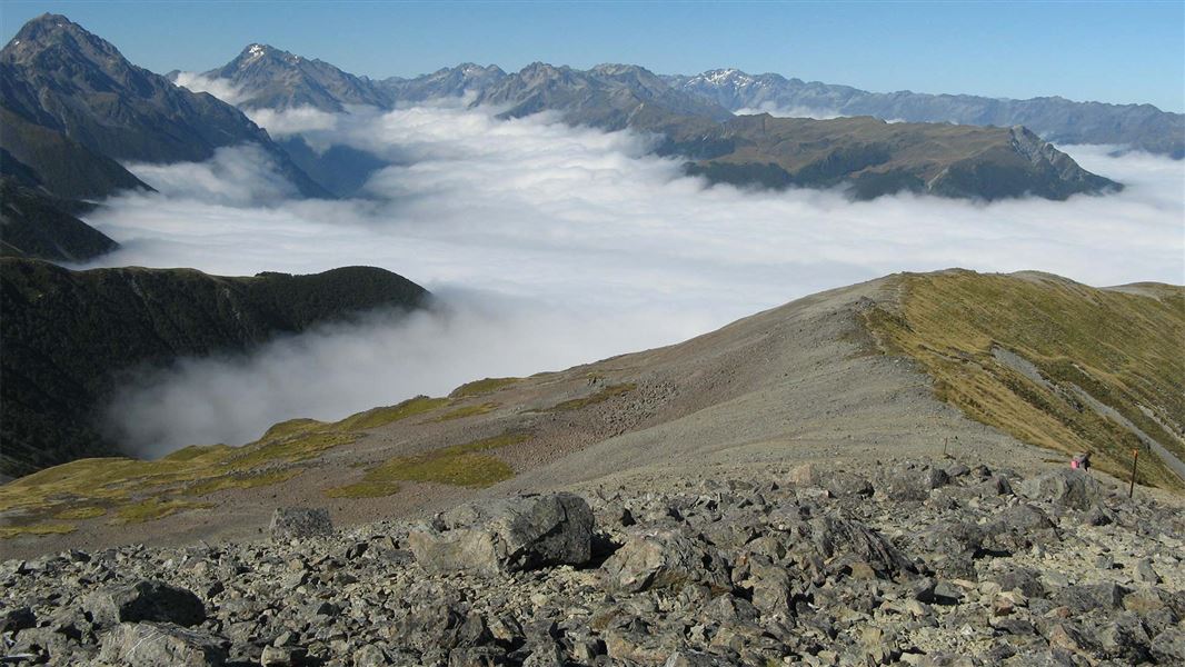 View of Mt Travers and Mt Franklin from Mt Cedric Track/Route 