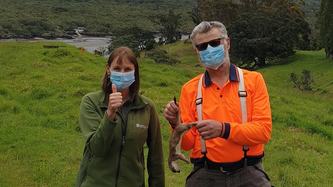 Two people, one in DOC uniform and one in a high-vis shirt, hold a dead stoat.