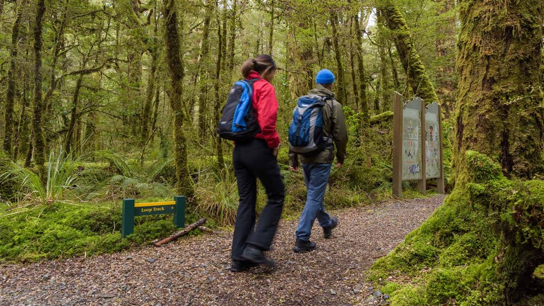 Two visitors walking on a DOC track.