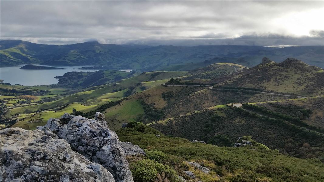 Ōtepatotu Reserve lower lookout.