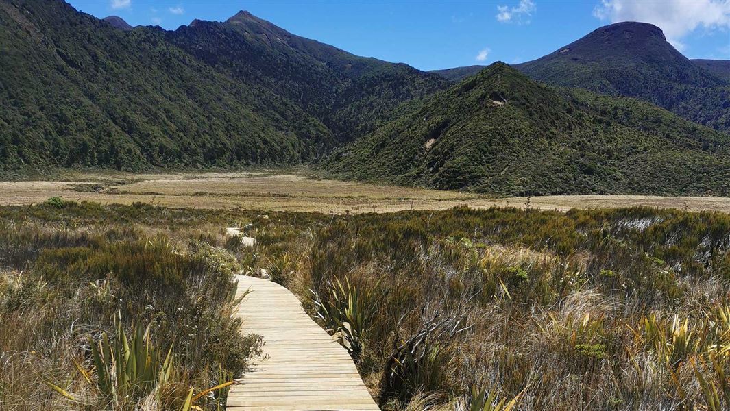 A board walk across a wetland with a forested mountain ridge in the distance.