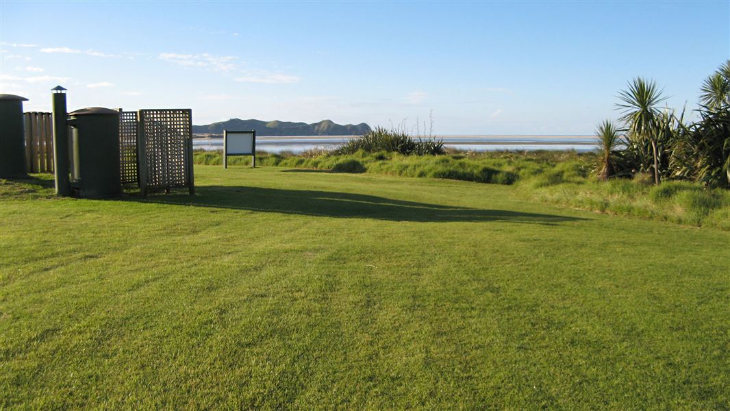 Whangapoua Campsite. 