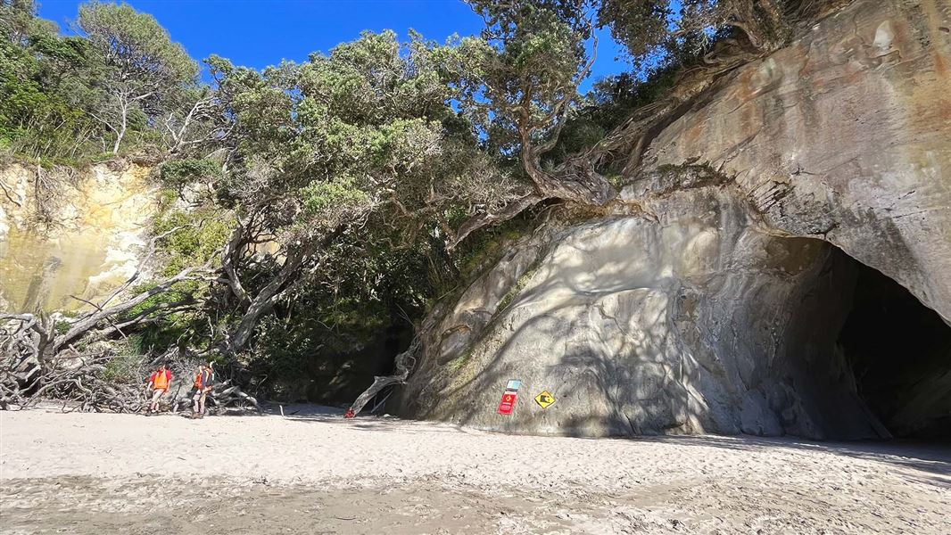 Cathedral Cove damage landslide and trees and debris.