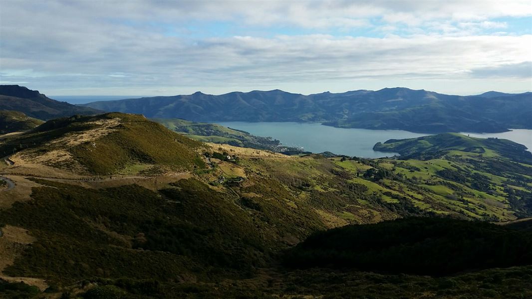 Ellangowan Scenic Reserve Track Walking and tramping in Banks