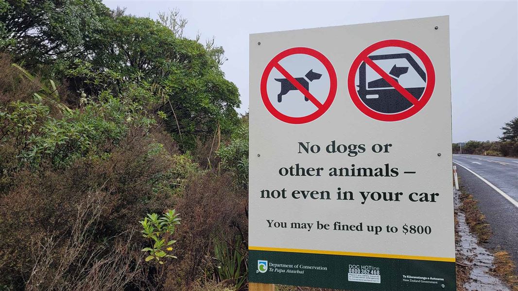A roadside sign stating that dogs and other animals are not allowed in the area.