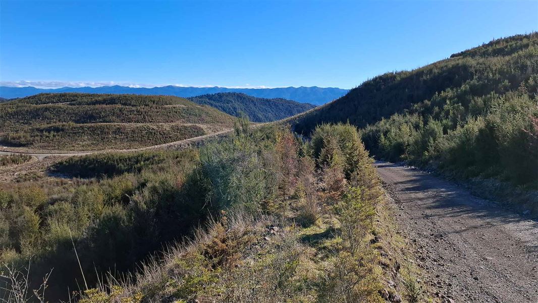 Union Creek Track view of bush, blue skies and the track. 