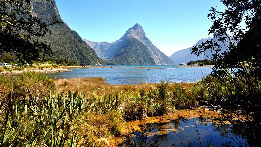 Milford Sound with Mitre Peak in distance