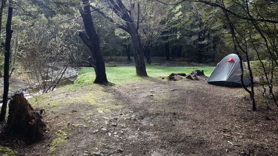 Mistletoe Flats Campsite.