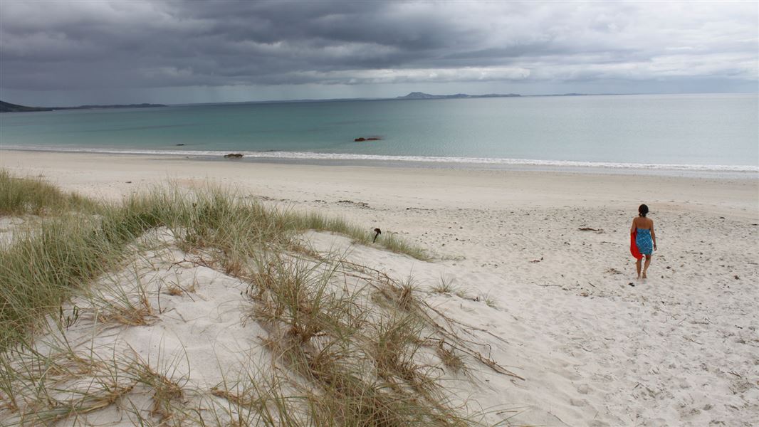 Karikari Beach. 