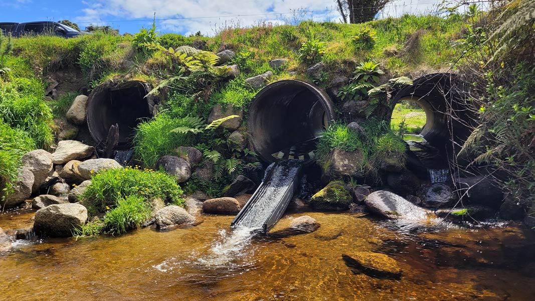 Tributary of Break Creek, Westland 