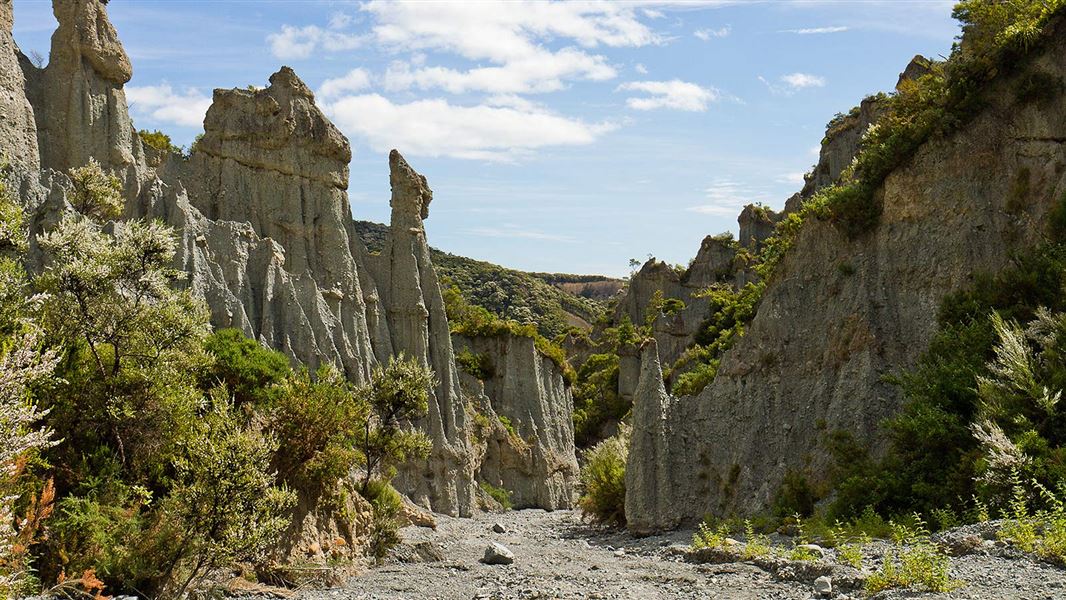 Putangirua Pinnacles. 