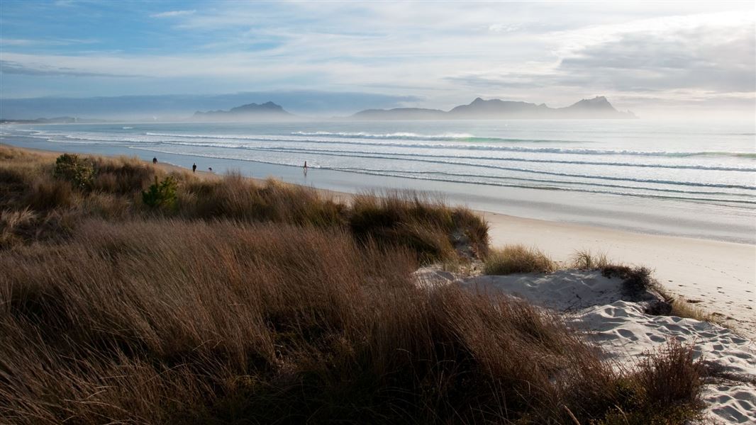 Dunes at Uretiti Beach. 