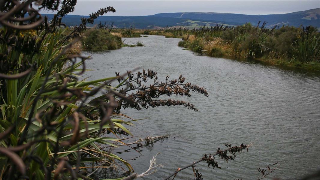 Titri wetlands. 