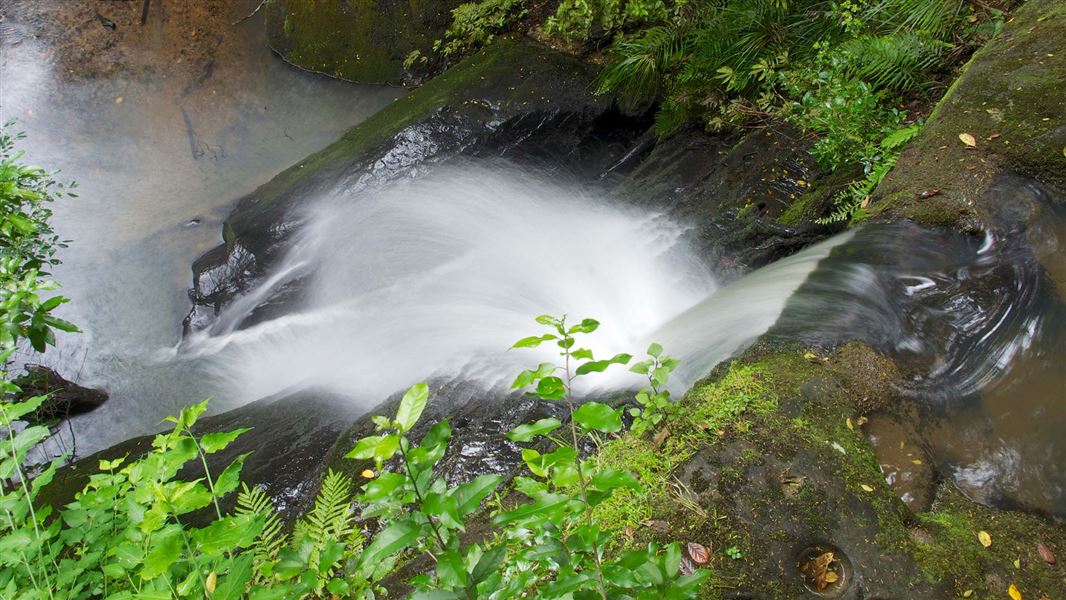 Pohuehue waterfall. 